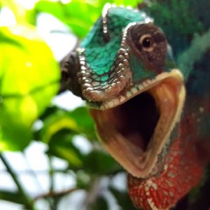 AAAAAAHHHHHHHH