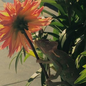 Hello Spring!