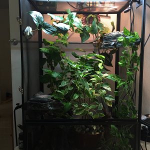My new lights