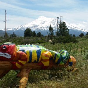 Nuts Over Chameleons Mascot