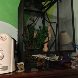 My finished cage