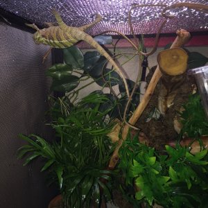 exploring