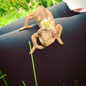 Luka's first time outside