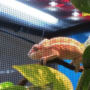 Just before shed started