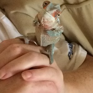 I can look like them squirrels"look"