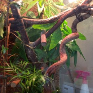 current enclosure