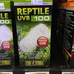 UVB Bulb