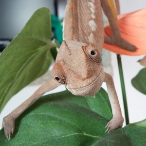 Hi there!