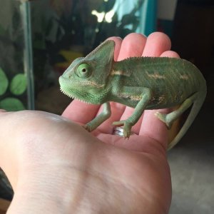 First day home