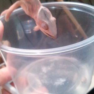 hand held cup feeding