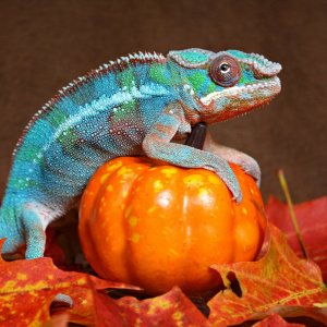 October