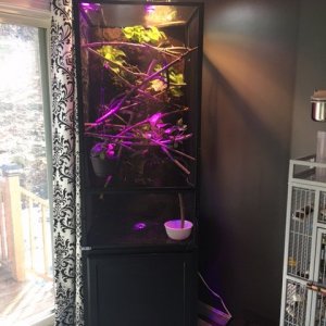 custom cabinet
