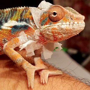 First shed with us, 3 months old.