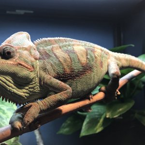 I think this is my good side!