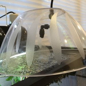 rain dome I made
