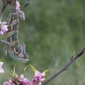 Spring is here