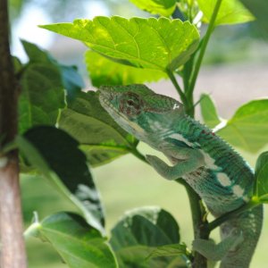 finding a better spot