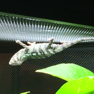 Soaking up some rays!
