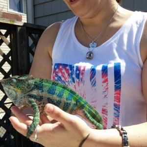 Sully and a friend #1