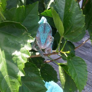 Sully hangin outside #1
