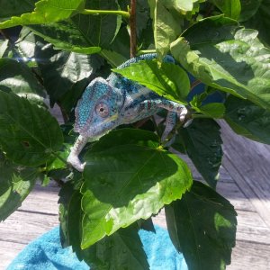 Sully hangin outside #3