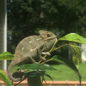 Enjoying the sun