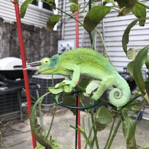 What are you look at?