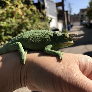 Basking outside