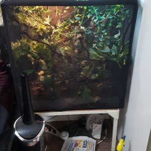 New Enclosure v4.0