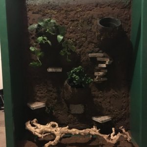 New cage