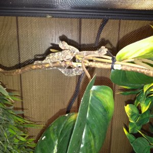 Just chillin