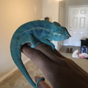 The bond is real!