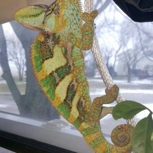 Happy 2nd Hatchday!!