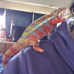 Happy 1st Hatchday!!!