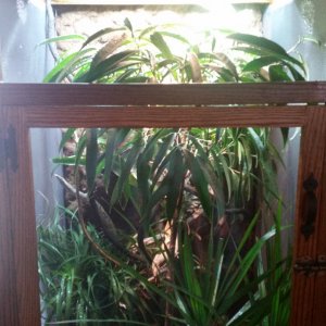 Custom enclosure