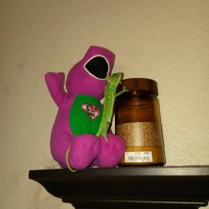 He live Barney