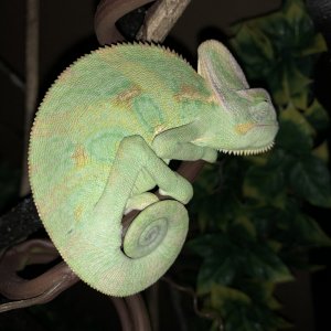 Sleepy boy