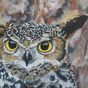 mean old owl!