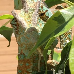 Loving the sun