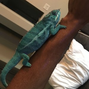Someone is getting BIG!