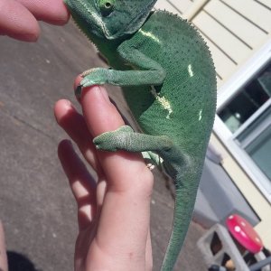 enjoying some rays