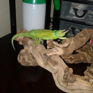 Just hanging out
