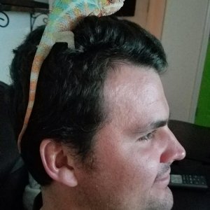 Hanging on my head.