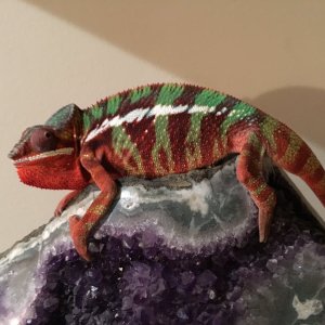 My favorite chillin rock