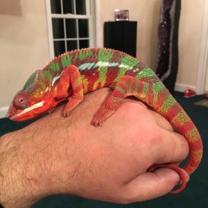 He’ll fall asleep like this sometimes