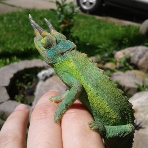 Getting some sun