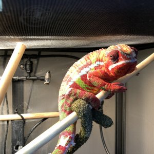 Hey let me out