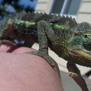 handsome boy walking on his mama