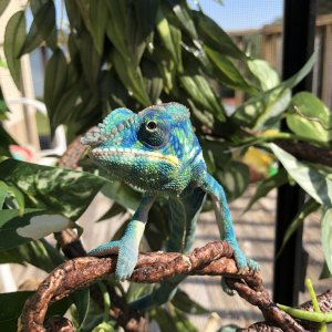 Outside Time