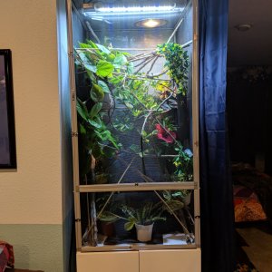 Enclosure with Closed Door